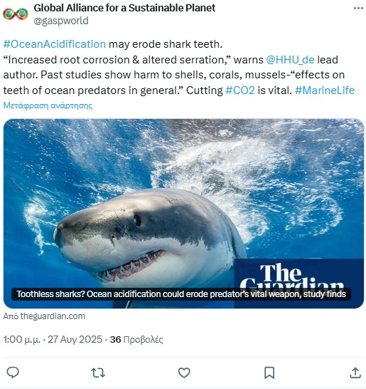 Μελέτη για καρχαρίες