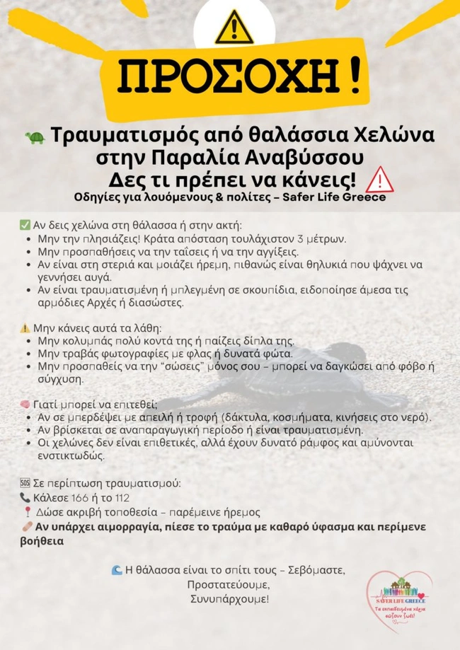 Οδηγίες για θαλάσσια χελώνα