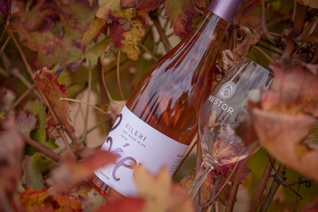 ροζέ γενική