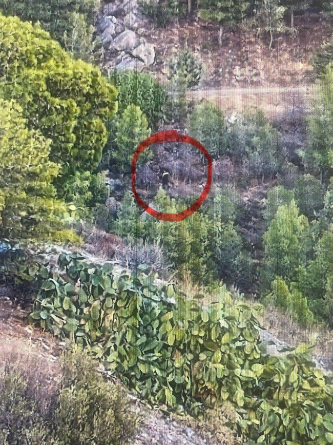 Φωτιά στον Υμηττό