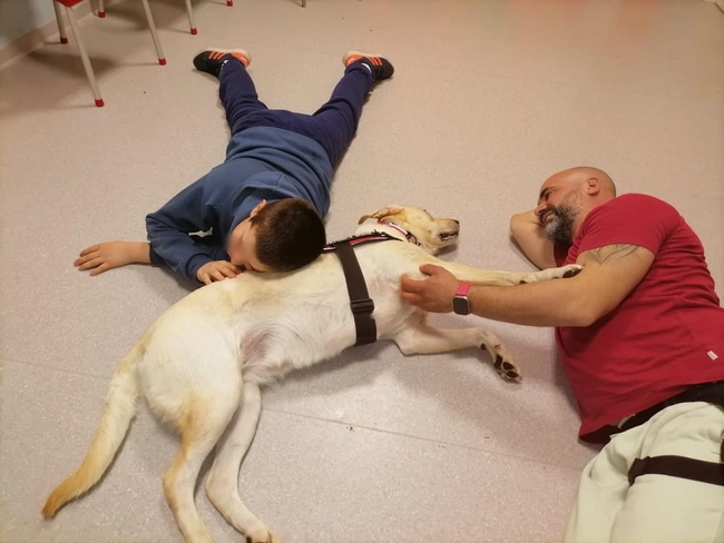 Therapy-dogs