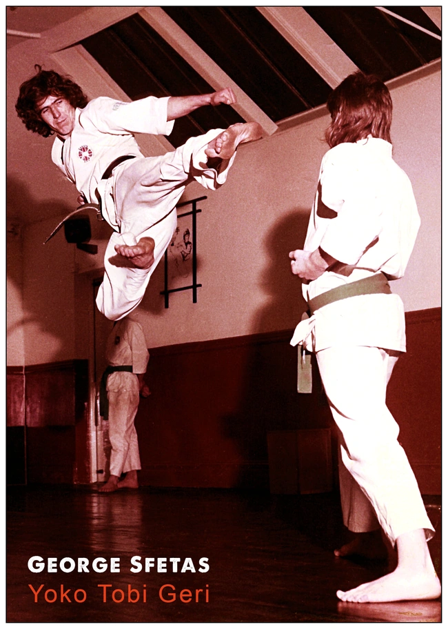 sfetas karate
