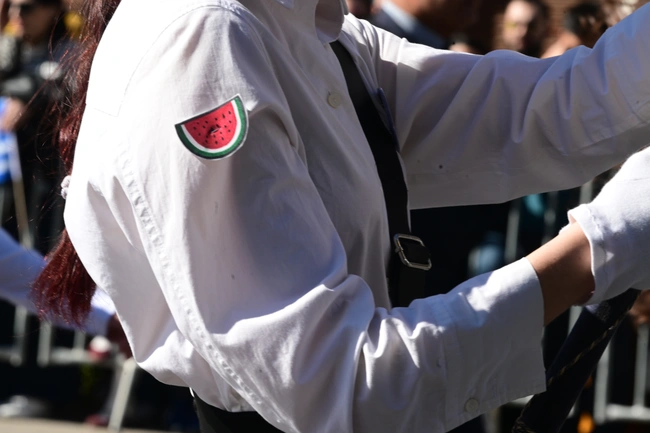 Σημαιοφόρος με καρφίτσα καρπούζι