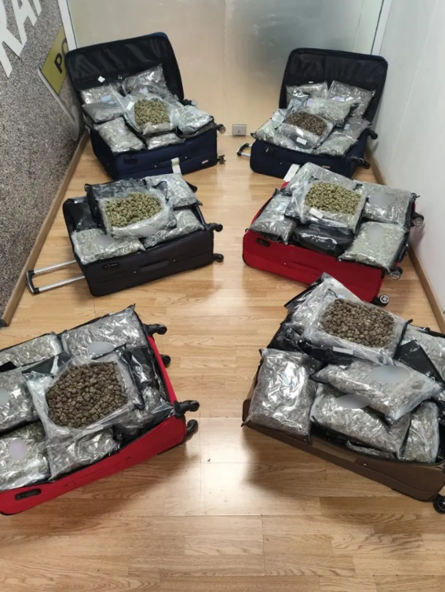 Οι βαλίτσες που περιελάμβαναν 72 κιλά κάνναβης