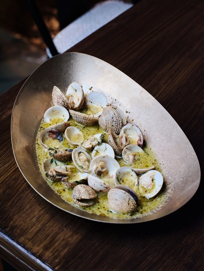 sea you γυαλιστερές 