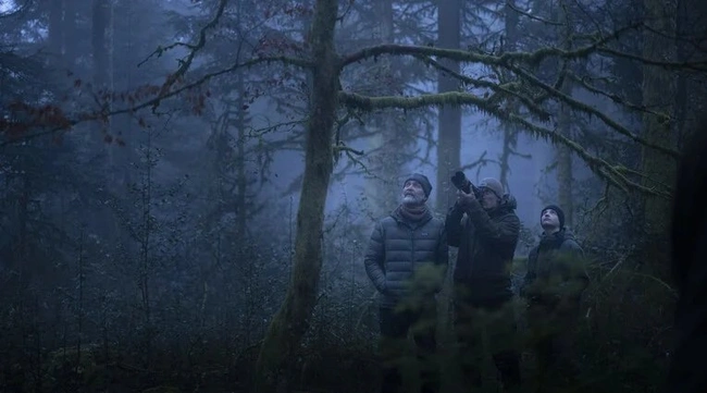 To Τραγούδι του Δάσους