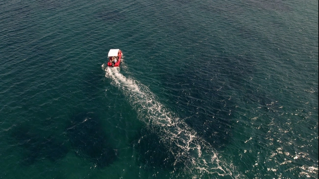 Το ΕΛ.ΚΕ.Θ.Ε. ελέγχει συστηματικά την ποιότητα των υδάτων στο παράκτιο μέτωπο του The Ellinikon