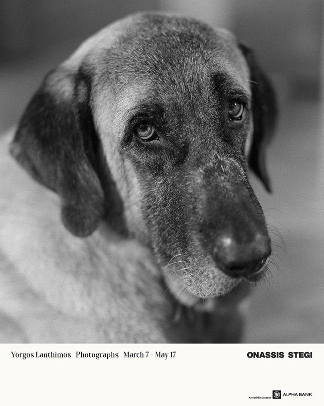 Η έκθεση φωτογραφίας του Γιώργου Λάνθιμου