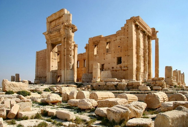 palmyra