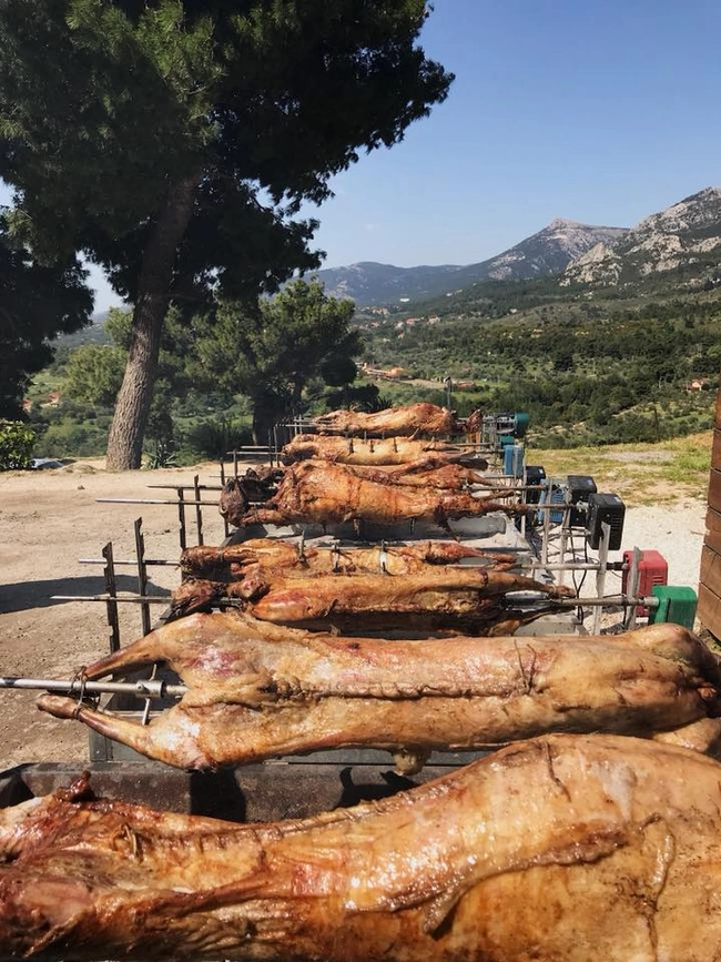 άγιος μερκούριος αρνιά 