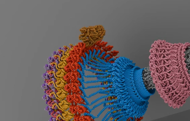 Το γρανάζι του βακτηριακού κινητήρα