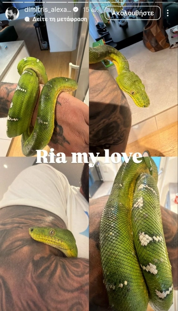 Το insta story του Δημήτρη Αλεξάνδρου