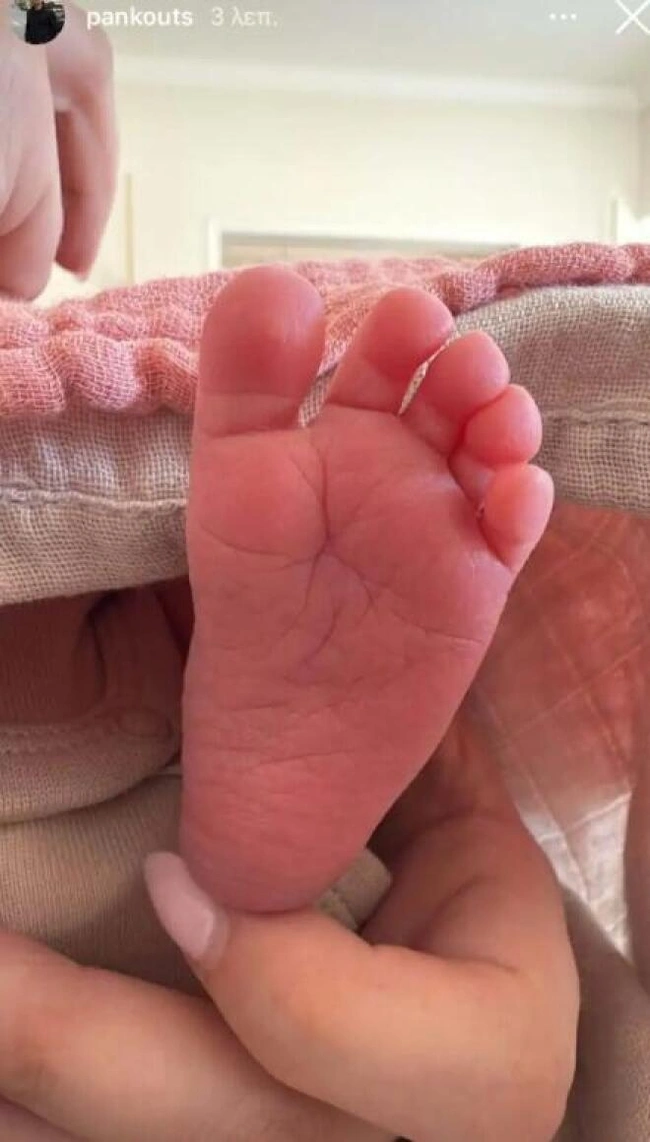 instagram / @pankouts