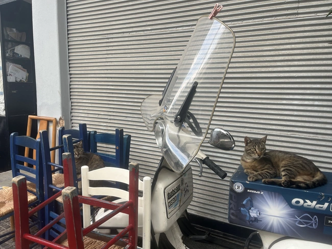 Νίκαια