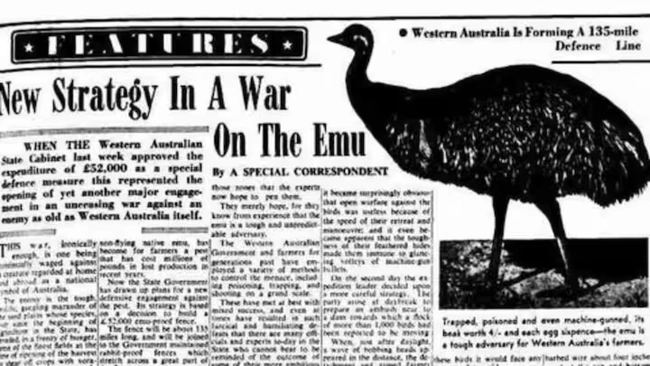 emu