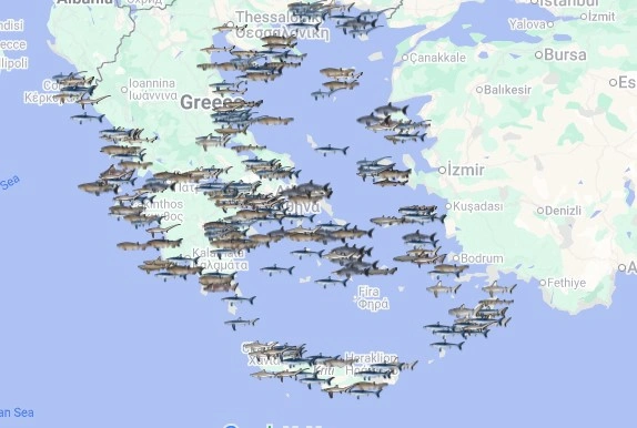 χαρτης