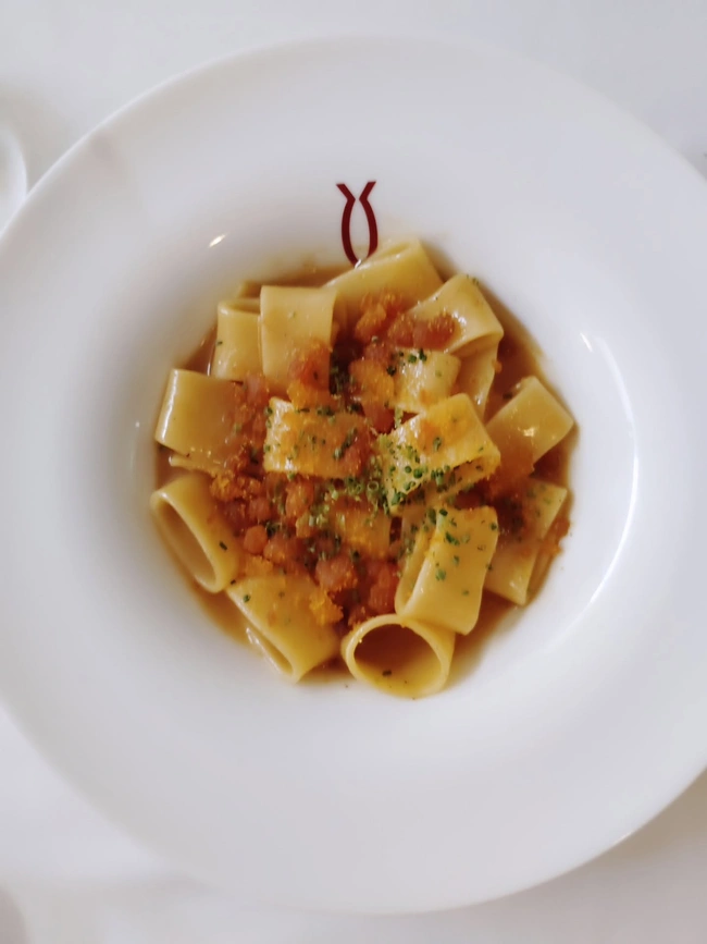 iodio calamarata