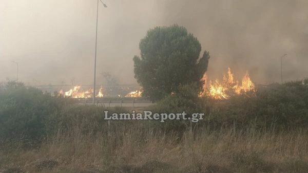 φωτια τωρα στην βοιωτια