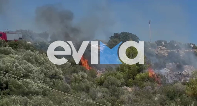 Φωτιά στην Εύβοια κοντά σε κατοικημένη περιοχή