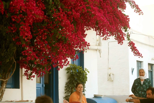 Κουφονήσια