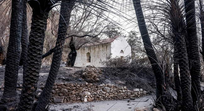 Εικόνες από τα καμμένα στην παραλία Πρέβελη