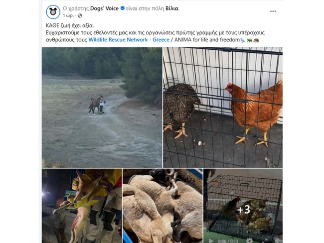 Facebook / @dogs voice