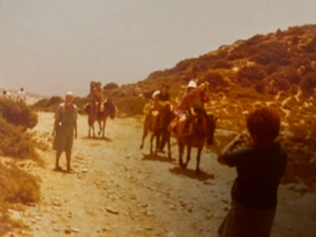 Αντίπαρος, 1981