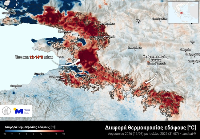 χάρτης