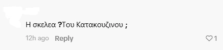 Τούνη σχόλιο