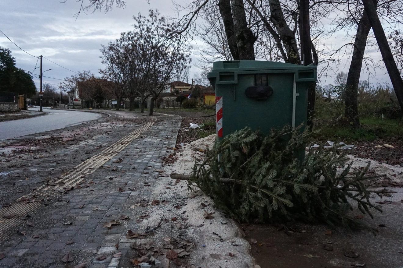 Έλατο αφημένο δίπλα σε κάδο.