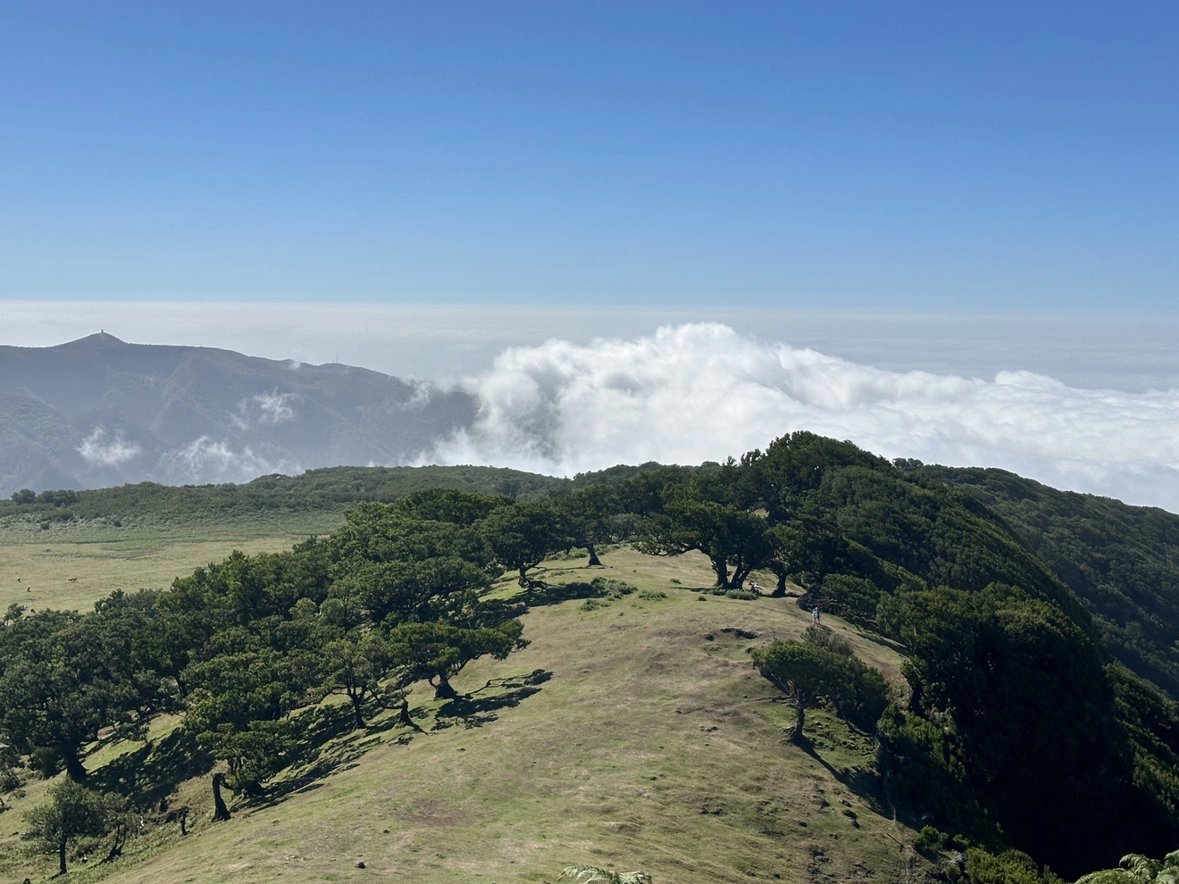 Το Φανάλ στη Μαδέρα