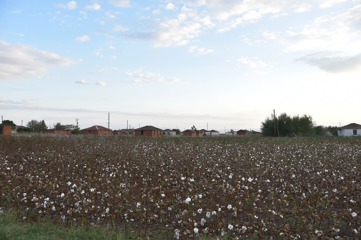 χωριό Ορφανά