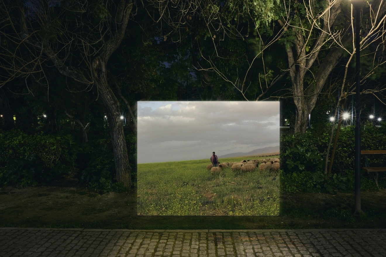 Ziad Antar - TokyoTonight