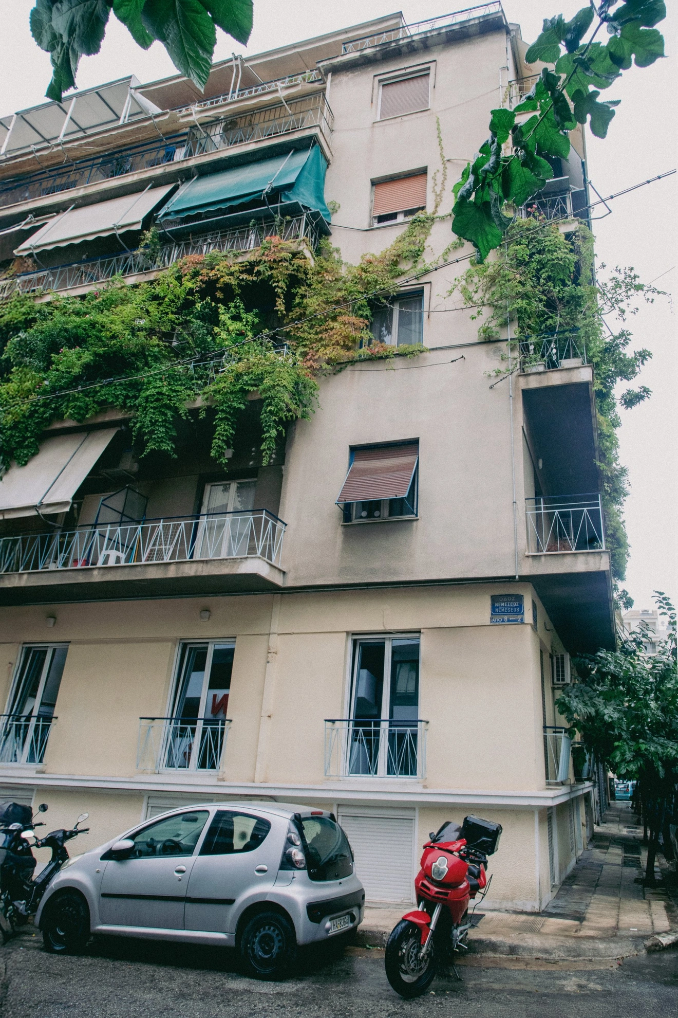 nemeseos 2 dalianidis