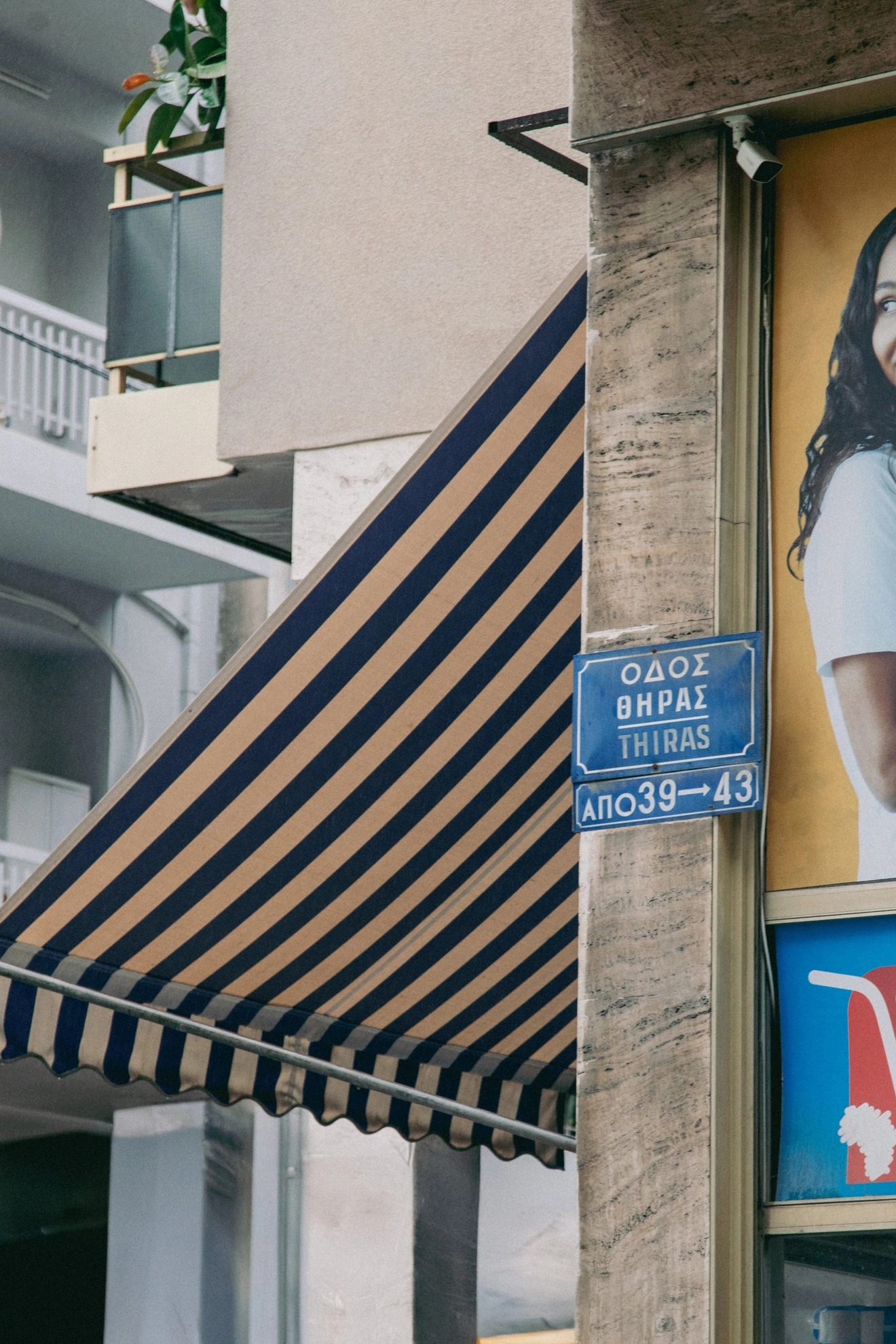 θηρας πλατ αμερικης