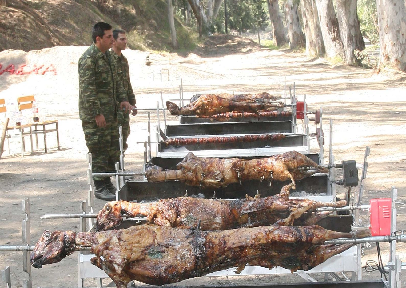 Ελληνικός Στρατός