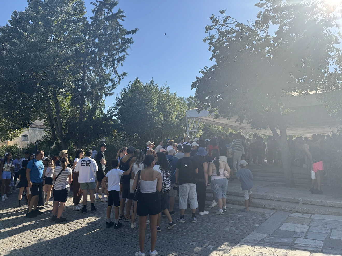 11 Αυγούστου 2026 | Reader