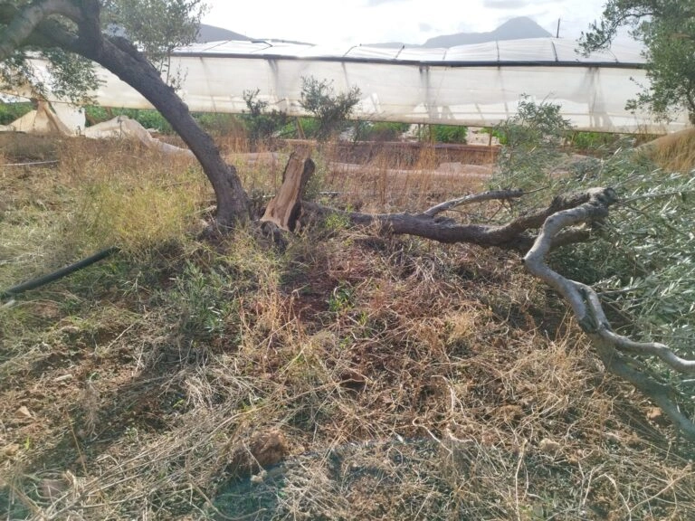 Ανεμοστρόβιλος στην Κρήτη