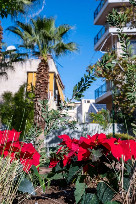 Πάρκο τσέπης στα Άνω Πατήσια