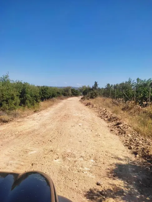 Διανοιξη αντιπυρικης ζωνης στον Μαραθωνα απο την Πολιτικη Προστασια