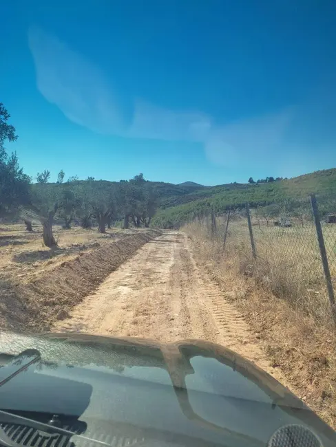 Διανοιξη αντιπυρικης ζωνης στον Μαραθωνα απο την Πολιτικη Προστασια