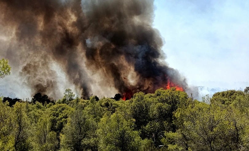 Φωτια σοφικο