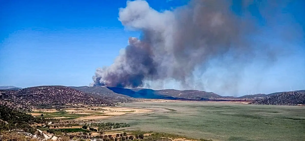 ευβοια πετριες