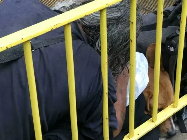Ο Χρήστος στο Ηράκλειο σκεπάζει σκύλο