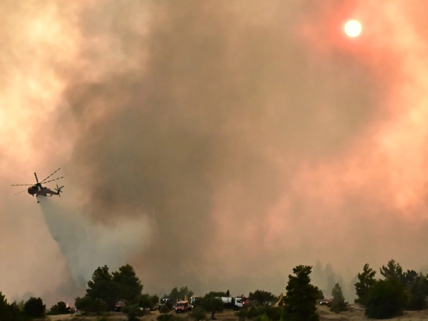 Φωτιά Ωρωπός