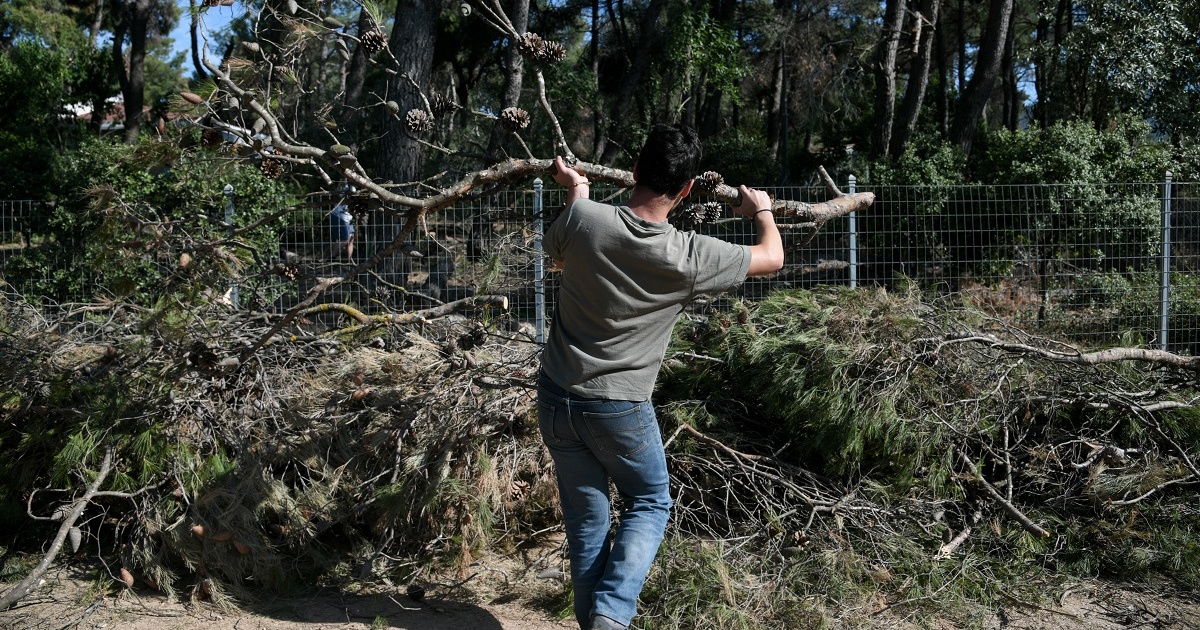 Ακαθάριστα οικόπεδα: Λήγει σήμερα η προθεσμία - Πότε ξεκινούν οι έλεγχοι και τα βαριά πρόστιμα
