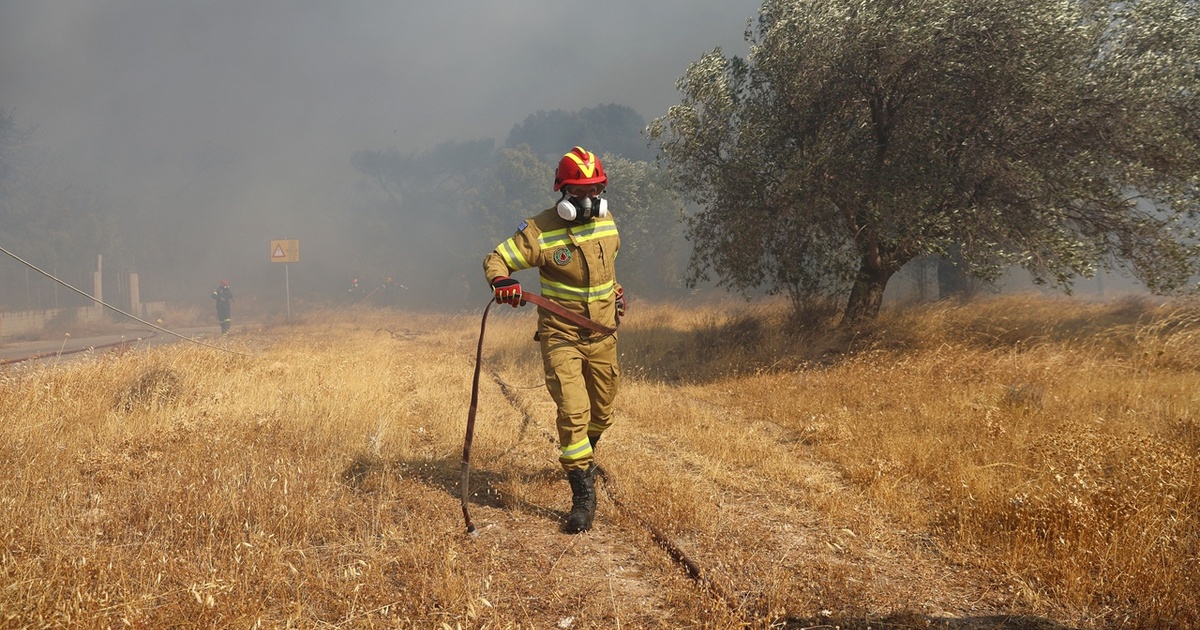 Σοκάρει η απολογία της εμπρήστριας για τη φωτιά στην Κερατέα: «Θόλωσα γιατί φώναζαν τα παιδιά μου»