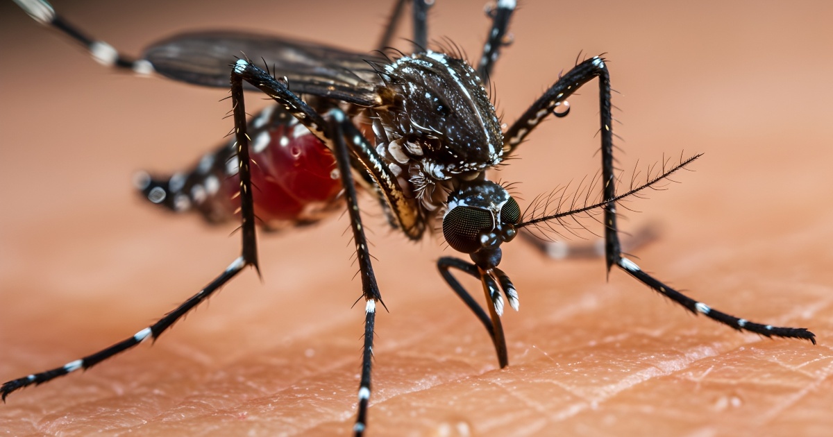 Chikungunya: Ο νέος ιός από τσίμπημα κουνουπιού που προκαλεί συναγερμό στην Κίνα