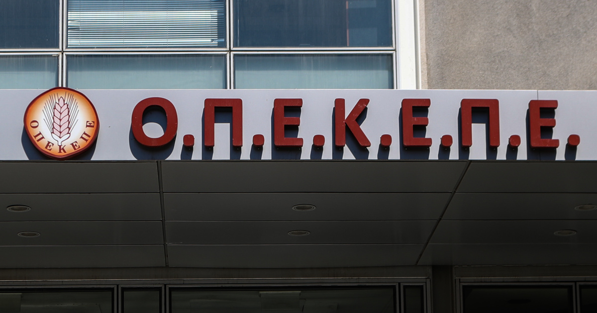 Σκάνδαλο ΟΠΕΚΕΠΕ: Πώς δρούσε ο εγκέφαλος του κυκλώματος - Η υπόγεια διαδρομή Κοζάνης - Αγρινίου