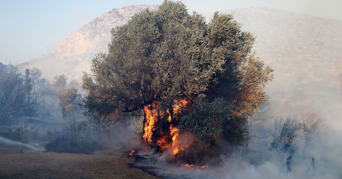 Κερατέα: Συνελήφθη 43χρονη για εμπρησμό από πρόθεση κατ' εξακολούθηση